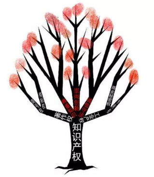 瀘州律師咨詢